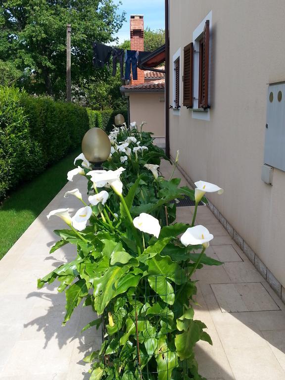 Ulika Rooms & Apartments Porec Exterior photo